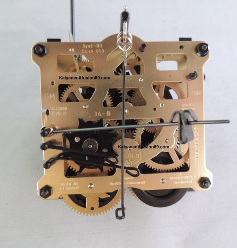 Orologio pendolo cuckoo - orologio,